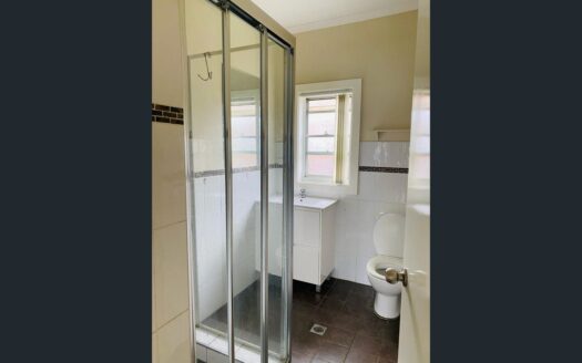 13 Wattle Avenue, Villawood, NSW 2163